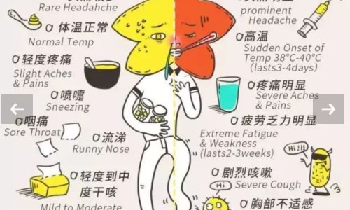 例假期间怀孕的几率-专业例假期间怀孕的几率是多少平台-例假期间怀孕的几率有多大